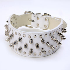Large Dog Rivet Pet Collar