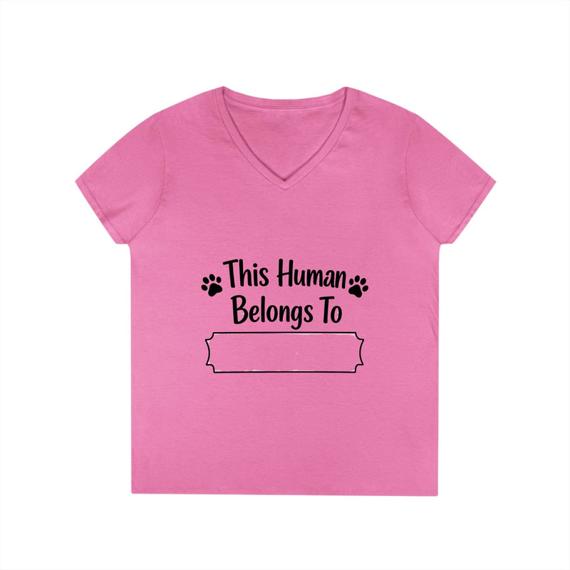 Ladies' V-Neck T-Shirt